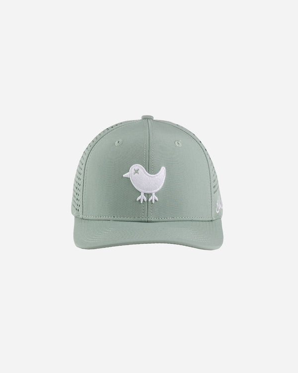 Birdie Snapback - Washed Sage